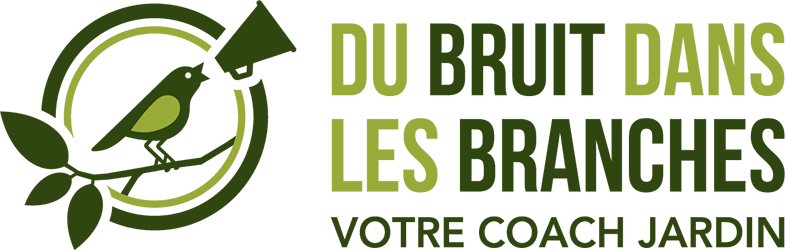 logo-du-bruit-dans-les-branches-coach-conception-jardin-nature-biodiversité-paysage-lille